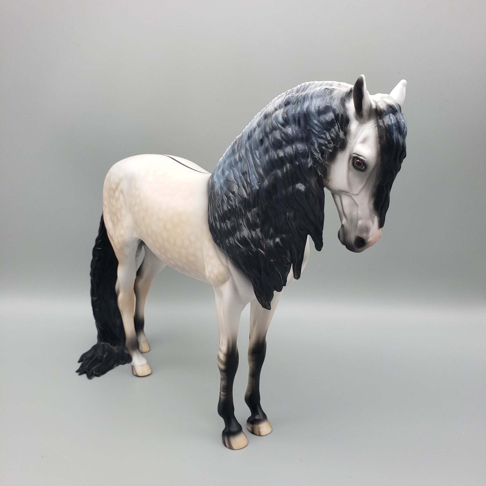 Gucci OOAK Dun Going Grey Andalusian By Dawn Quick EQ23