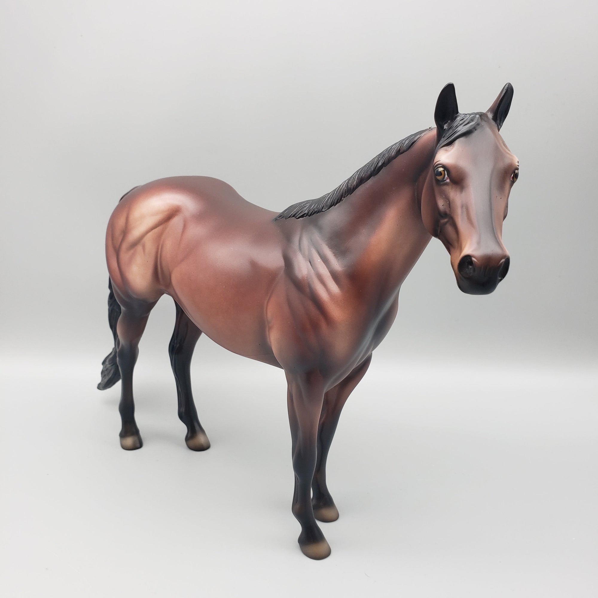 Boomer OOAK Bay ISH By Dawn Quick EQ23