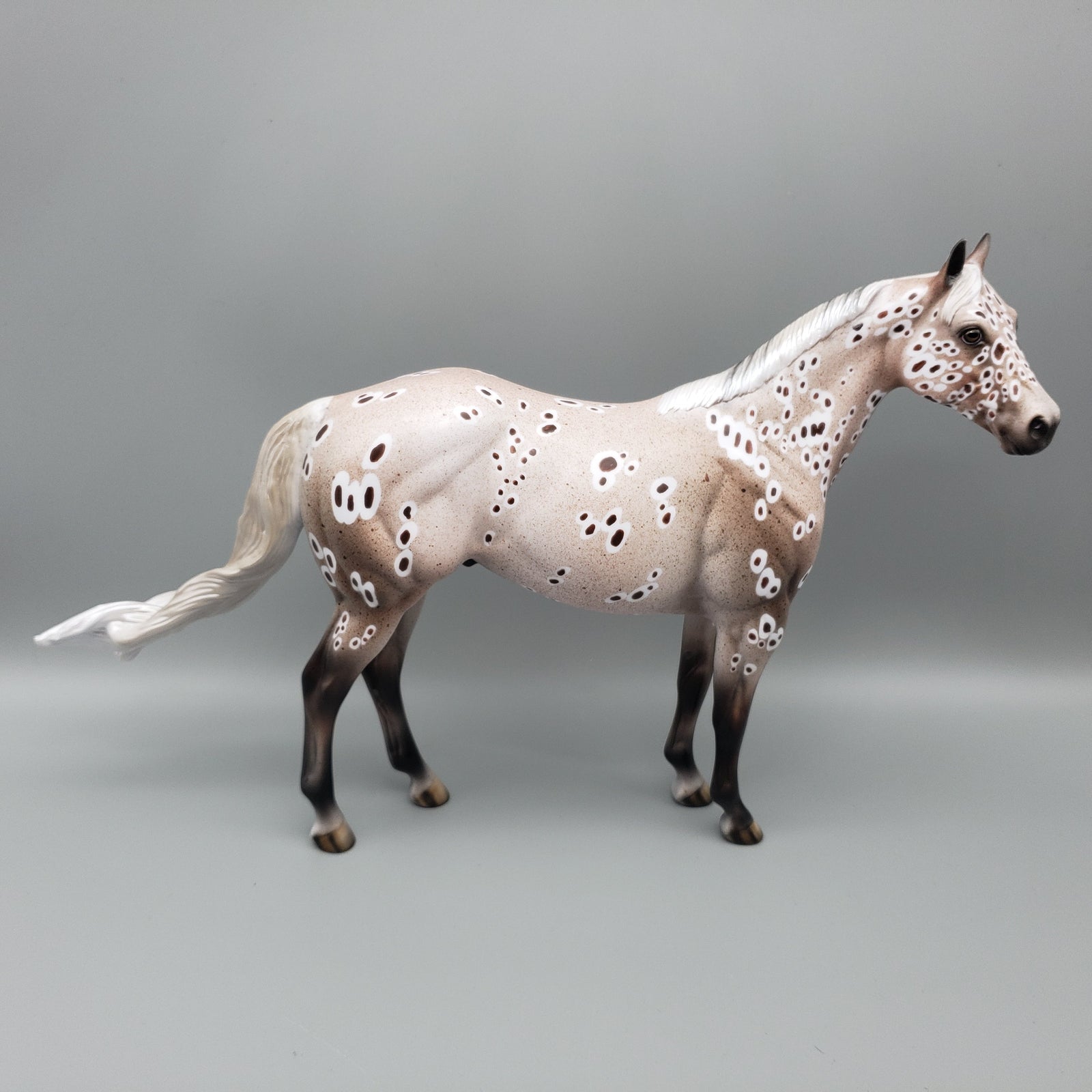 Buckshot OOAK Peacock Appaloosa ISH By Dawn Quick EQ23
