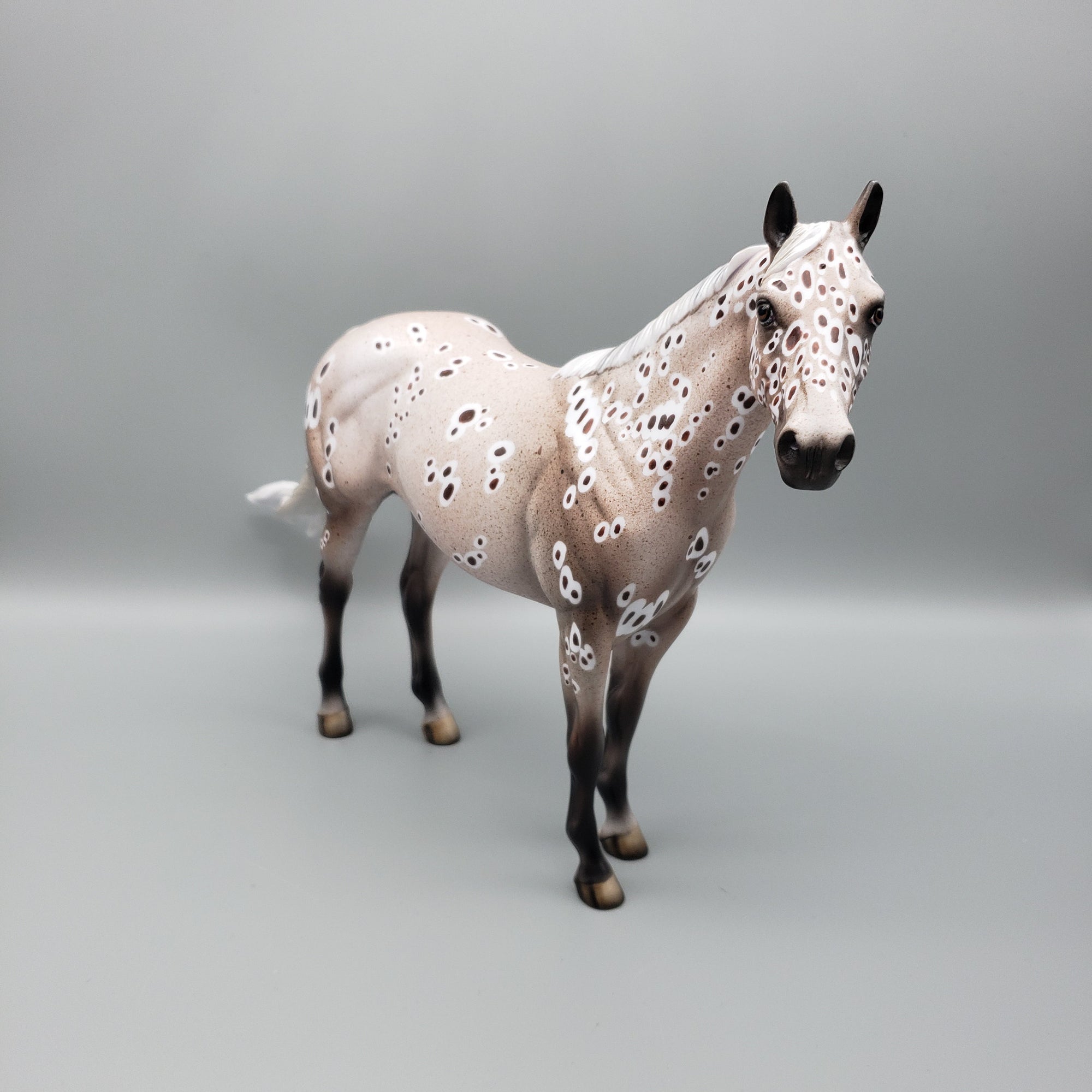 Buckshot OOAK Peacock Appaloosa ISH By Dawn Quick EQ23