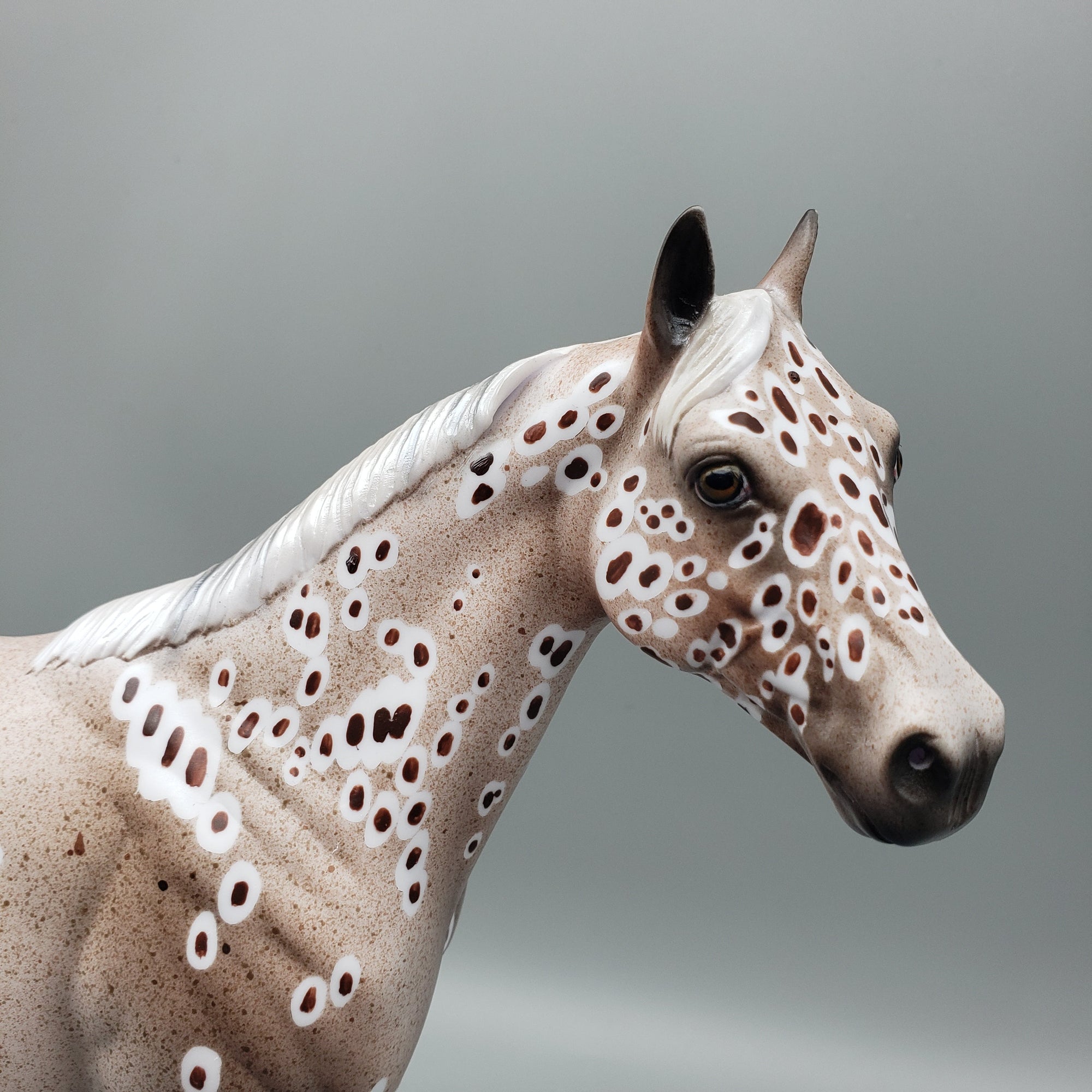 Buckshot OOAK Peacock Appaloosa ISH By Dawn Quick EQ23