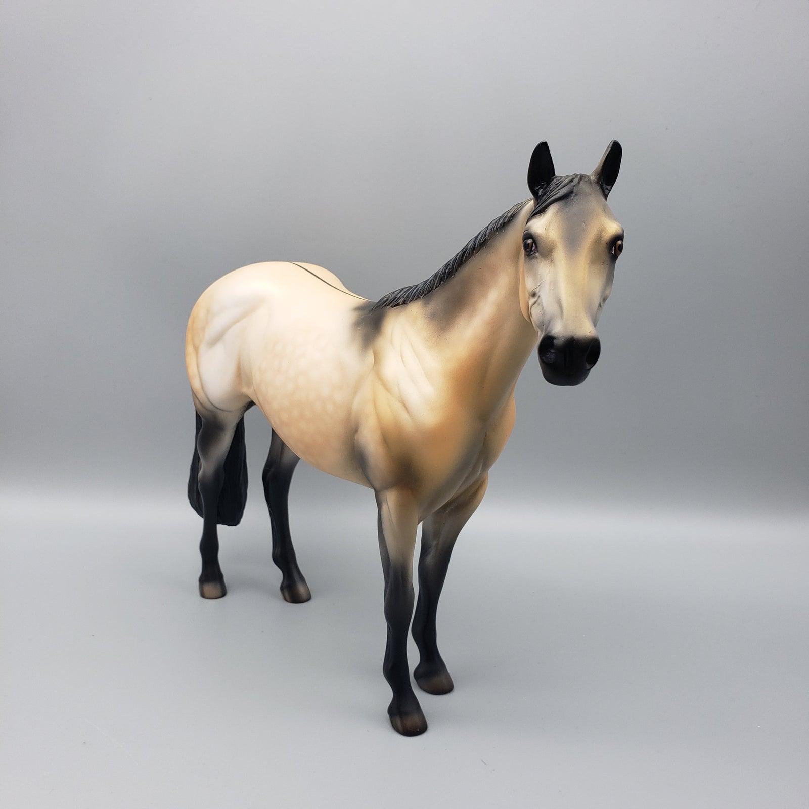 Bogard OOAK Dun ISH By Dawn Quick EQ23