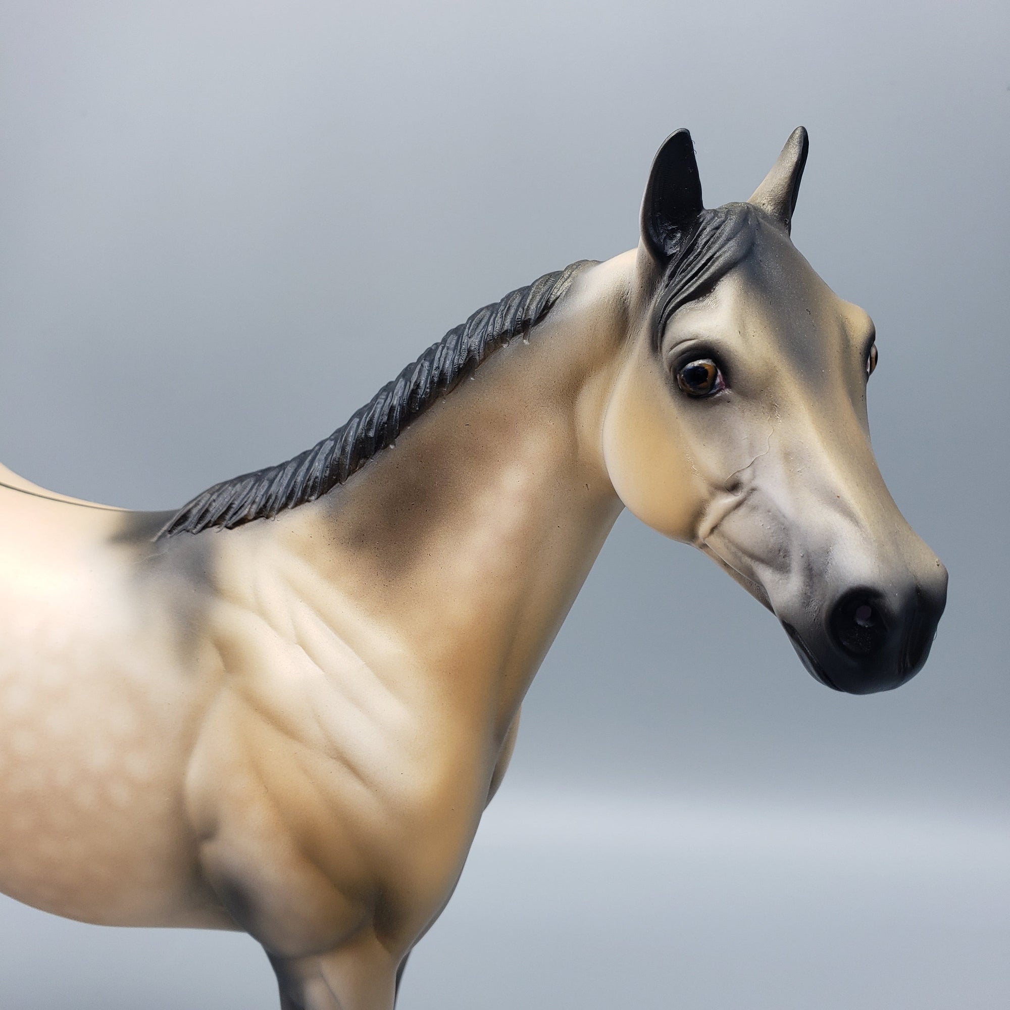 Bogard OOAK Dun ISH By Dawn Quick EQ23