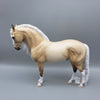 Santiago OOAK Dunalino Andalusian By Ellen Robbins EQ23