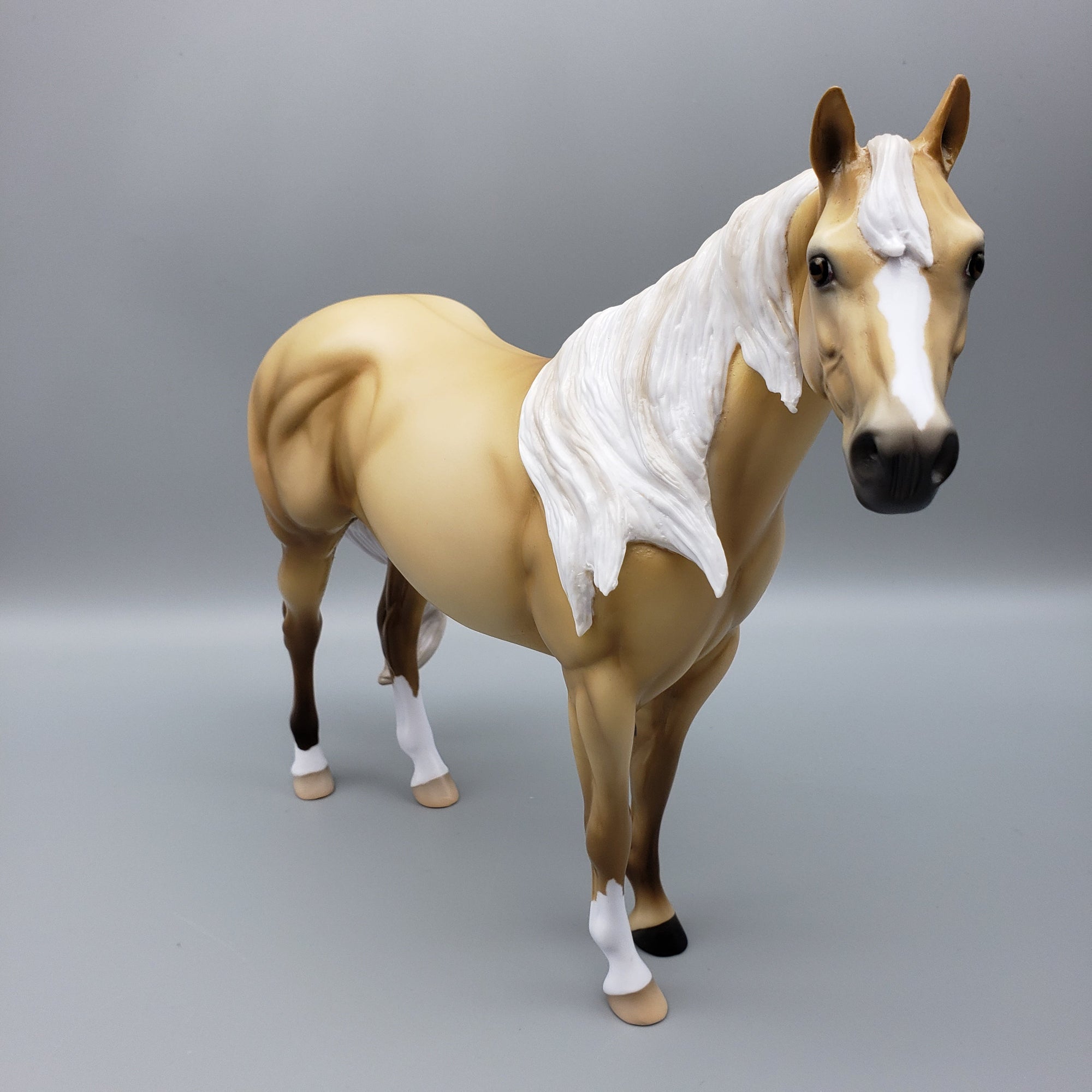 Sonoran OOAK Dunalino ISH By Ellen Robbins EQ23