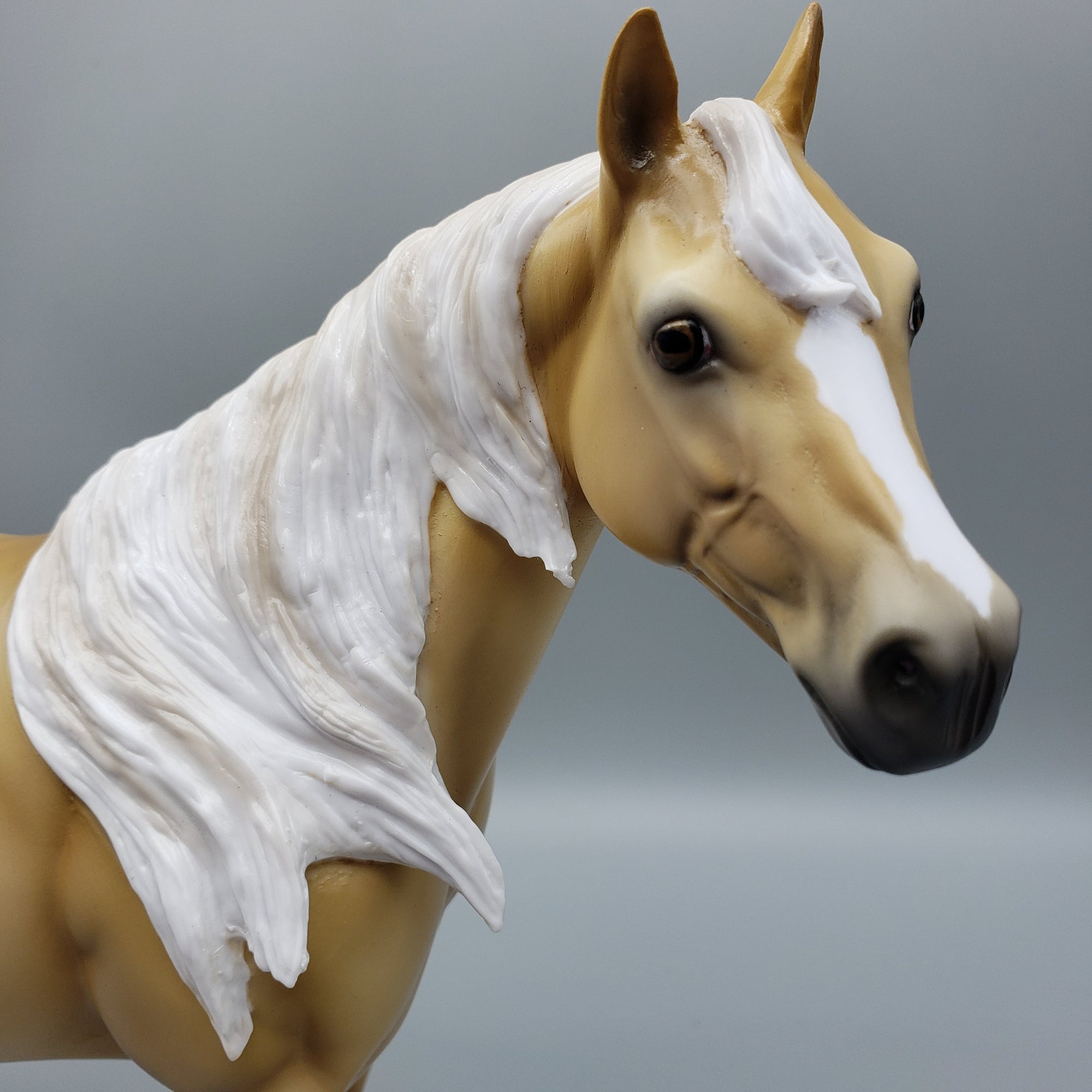 Sonoran OOAK Dunalino ISH By Ellen Robbins EQ23