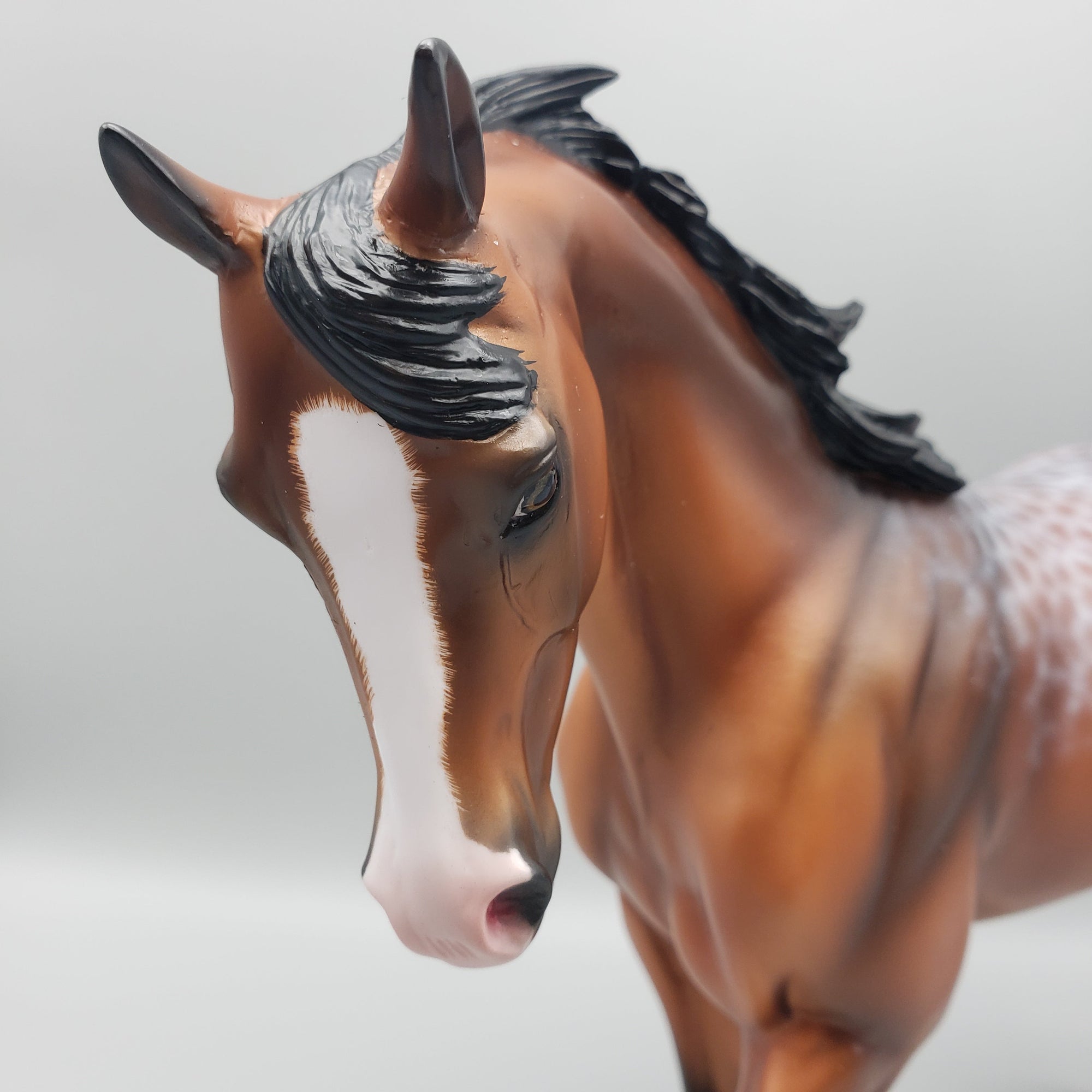 All Laced Up OOAK Laced Bay Thoroughbred By Ashley Palmer EQ23