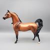 Sun Kissed Prince OOAK Sooty Golden Bay Arabian By Ashley Palmer EQ23