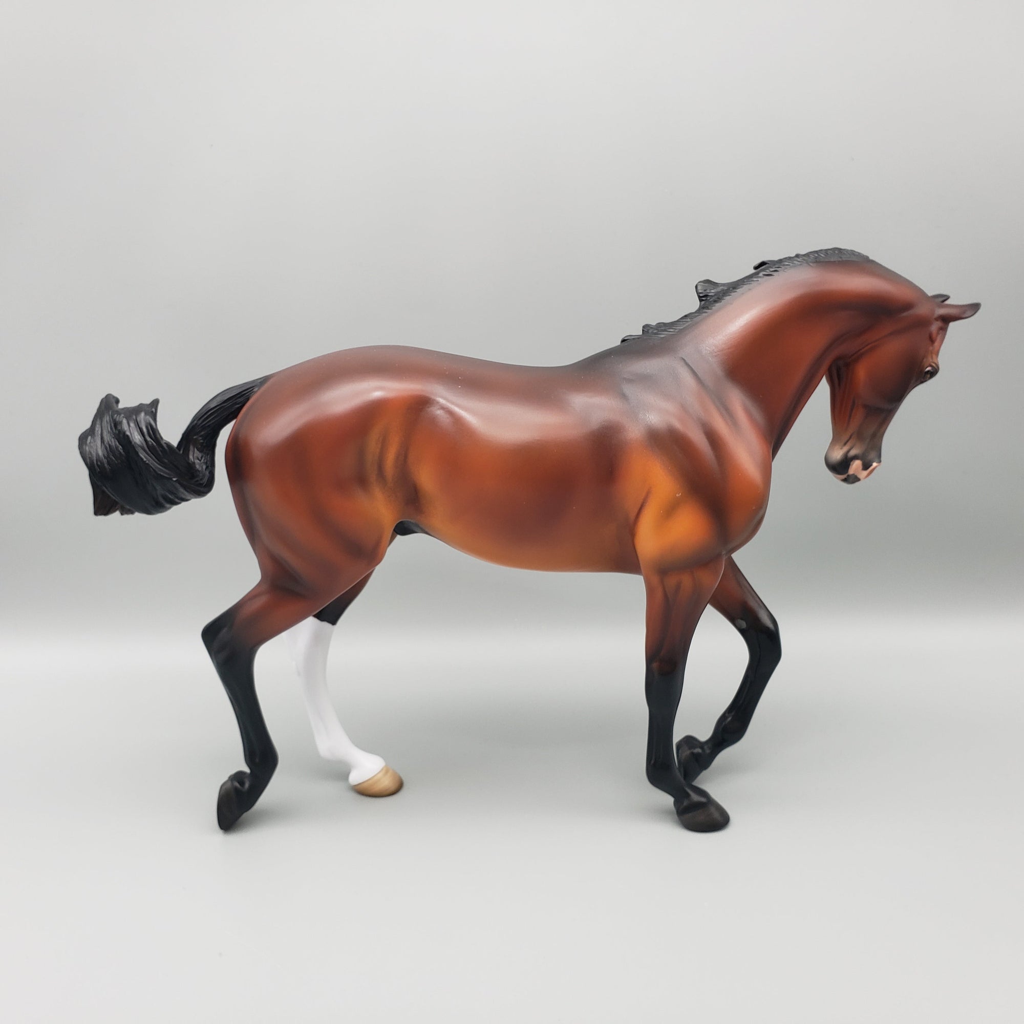 Citation OOAK Bay Thoroughbred By Angela Marleau EQ23