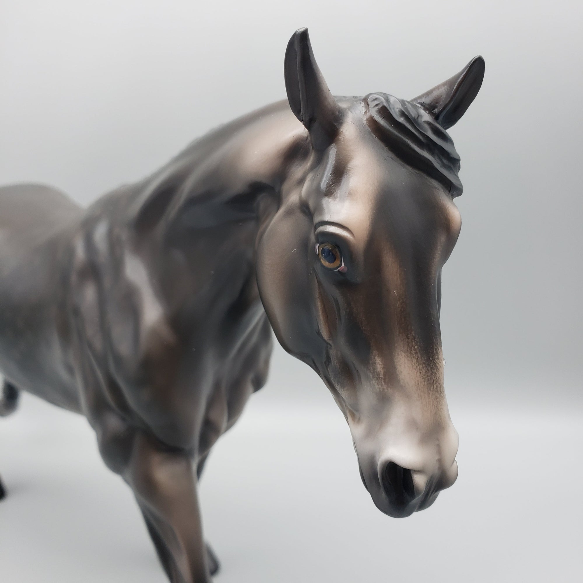 Teddy OOAK Dark Dapple Grey Running Stock Horse By Jess Hamill EQ23