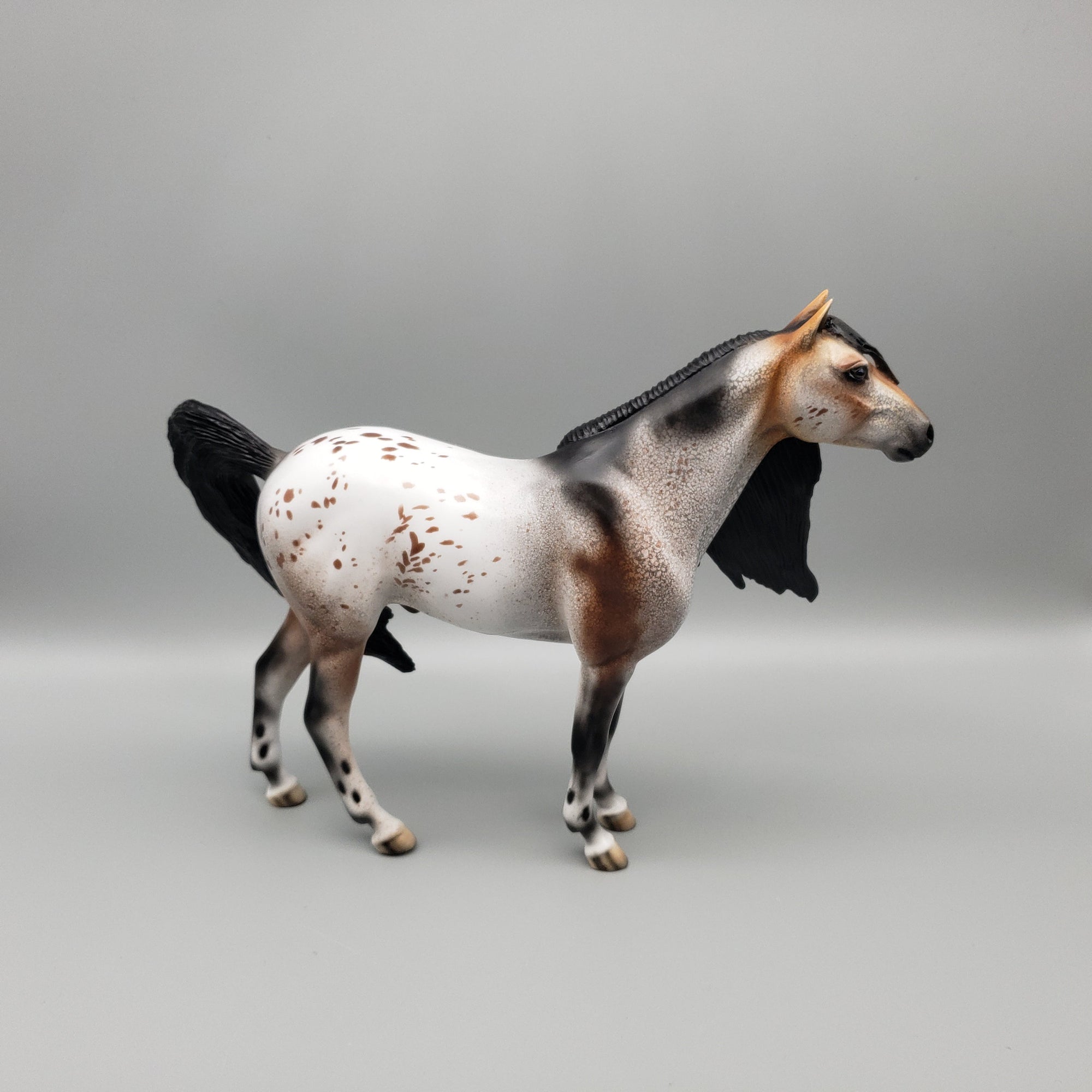 Windrider OOAK Customized Appaloosa Mustang By Dawn Quick EQ23