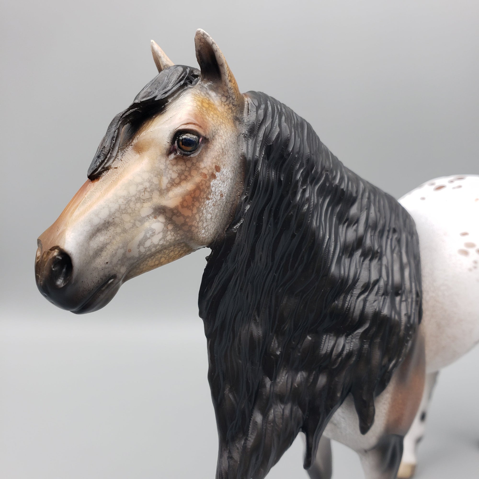 Windrider OOAK Customized Appaloosa Mustang By Dawn Quick EQ23