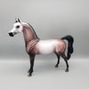 Top Gun OOAK Rose Grey Arabian Stallion By Dawn Quick EQ23