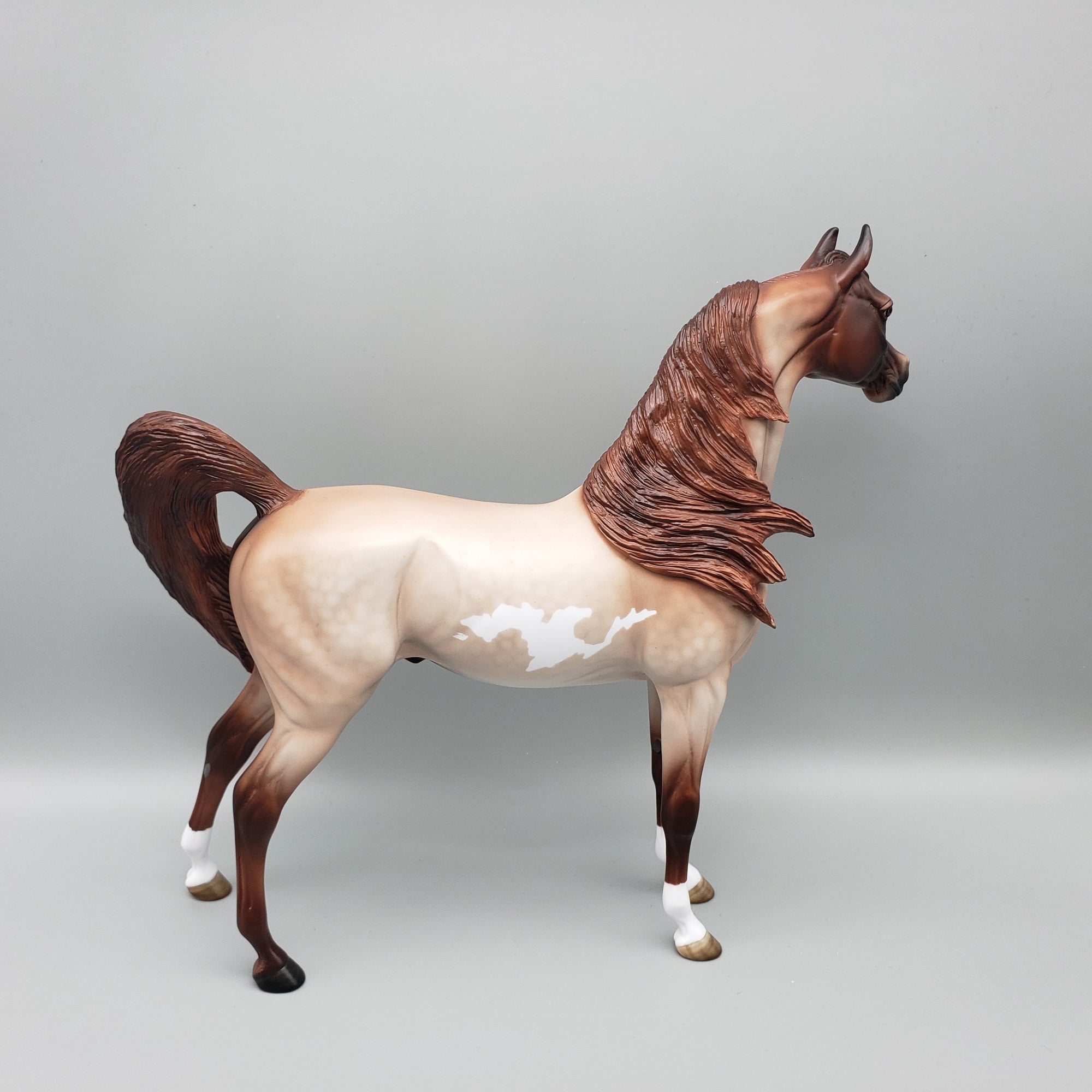 Rhubarb OOAK Strawberry Roan Arabian Stallion By Angela Marleau EQ23