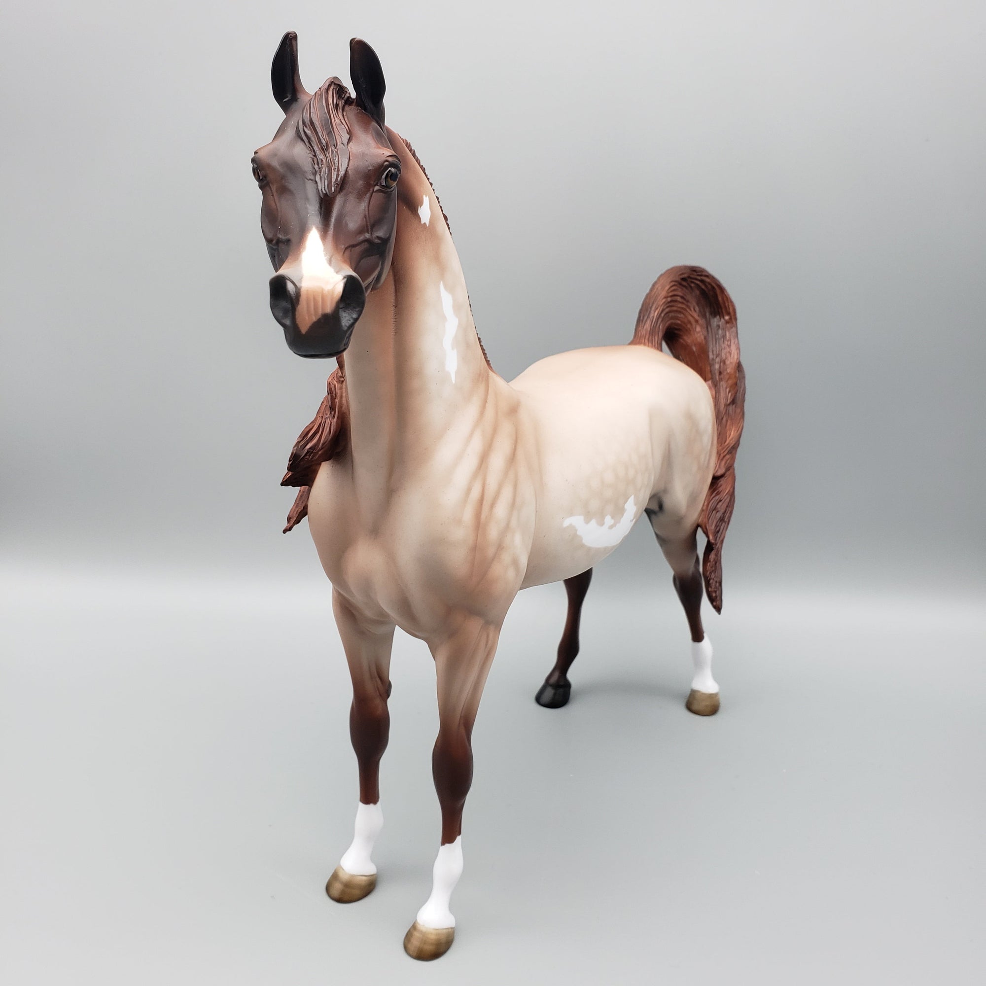 Rhubarb OOAK Strawberry Roan Arabian Stallion By Angela Marleau EQ23