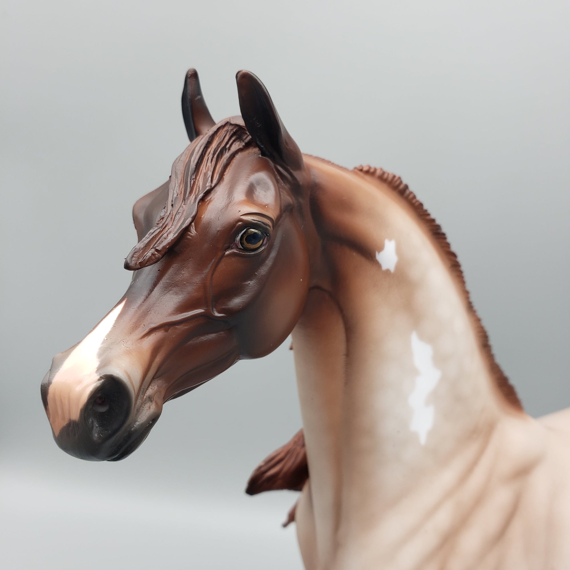 Rhubarb OOAK Strawberry Roan Arabian Stallion By Angela Marleau EQ23