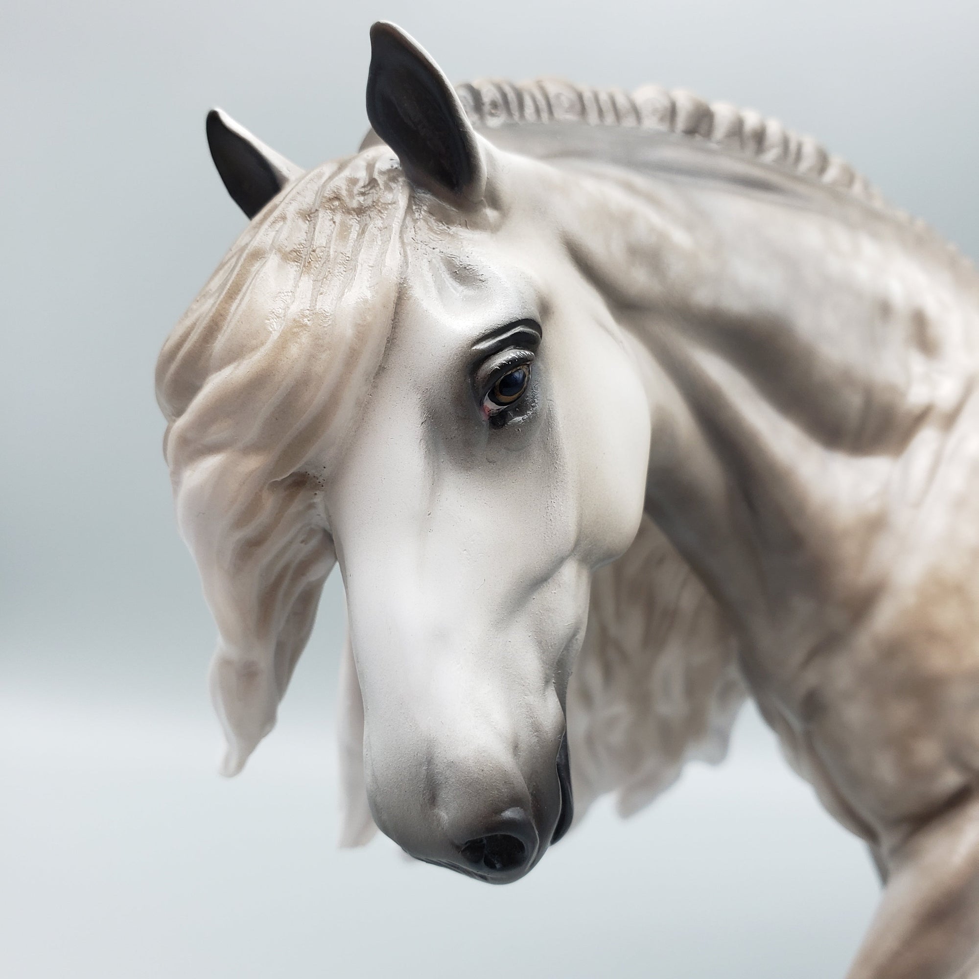 Harris OOAK Star Dappled Grey Cob By Sheryl Leisure Best Offers 7/4/23