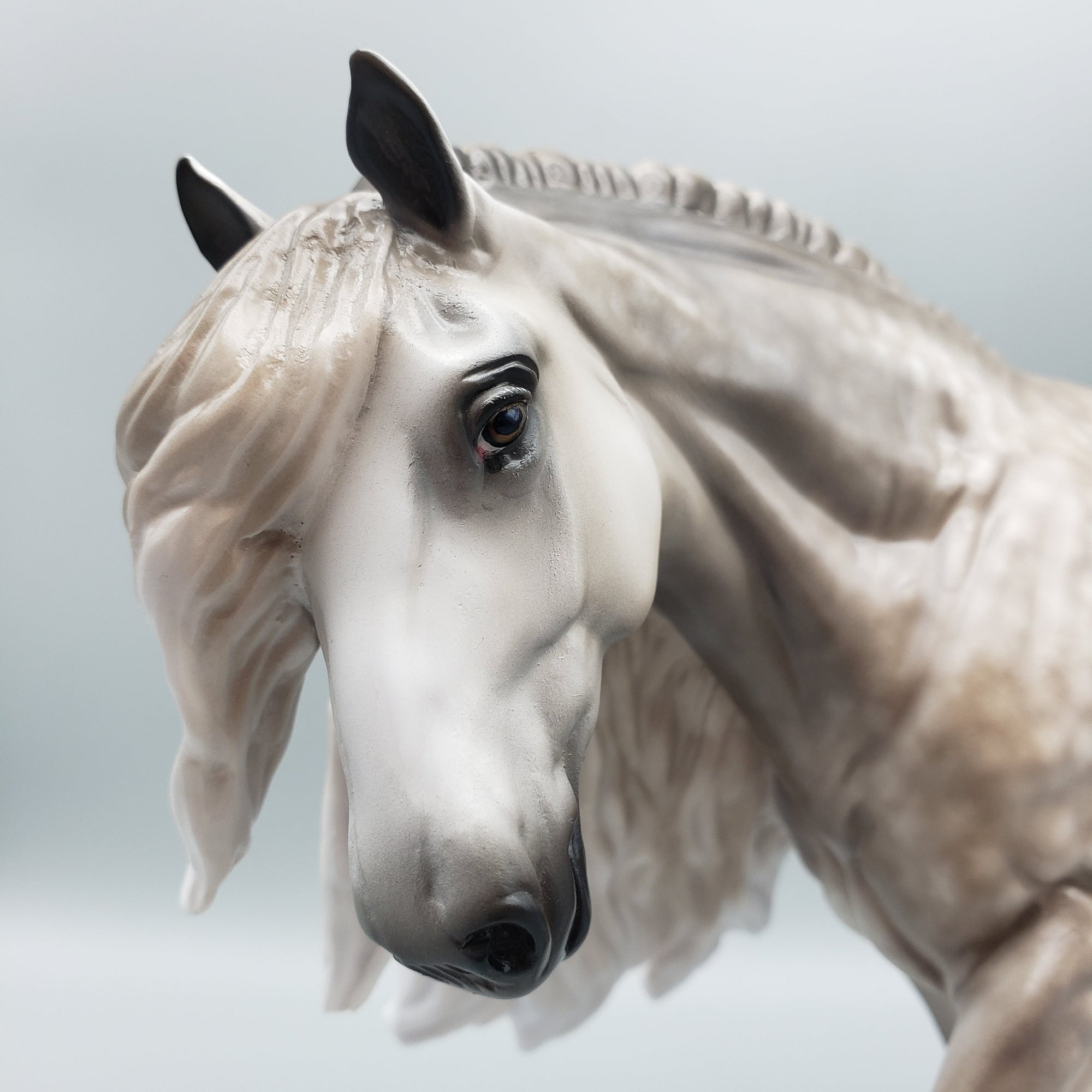 Harris OOAK Star Dappled Grey Cob By Sheryl Leisure Best Offers 7/4/23