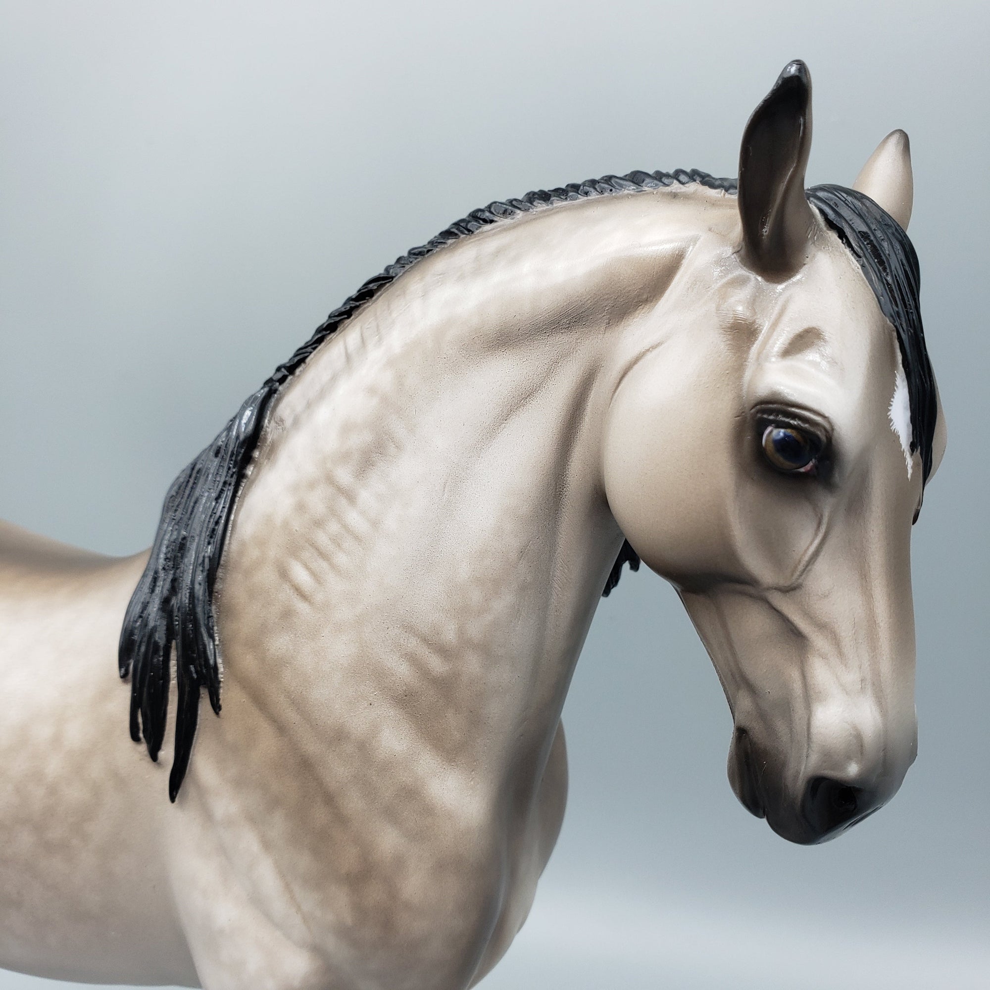 Kirk OOAK Buckskin Andalusian Sheryl Leisure Best Offers 7/4/23