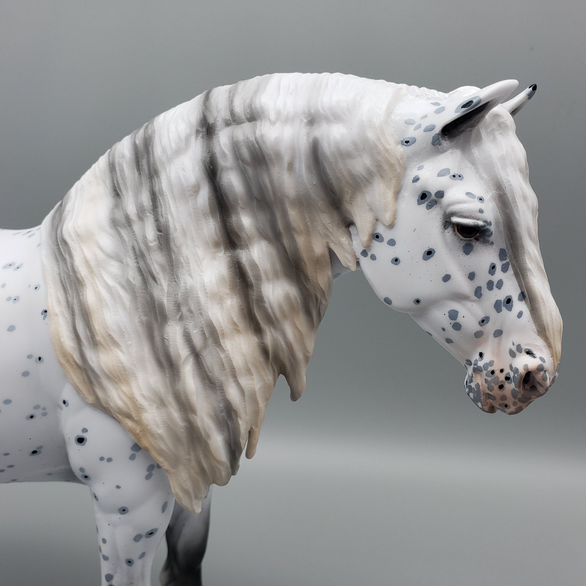 Salome OOAK Black Leopard Appaloosa  Heavy Draft By Ellen Robbins EQ23