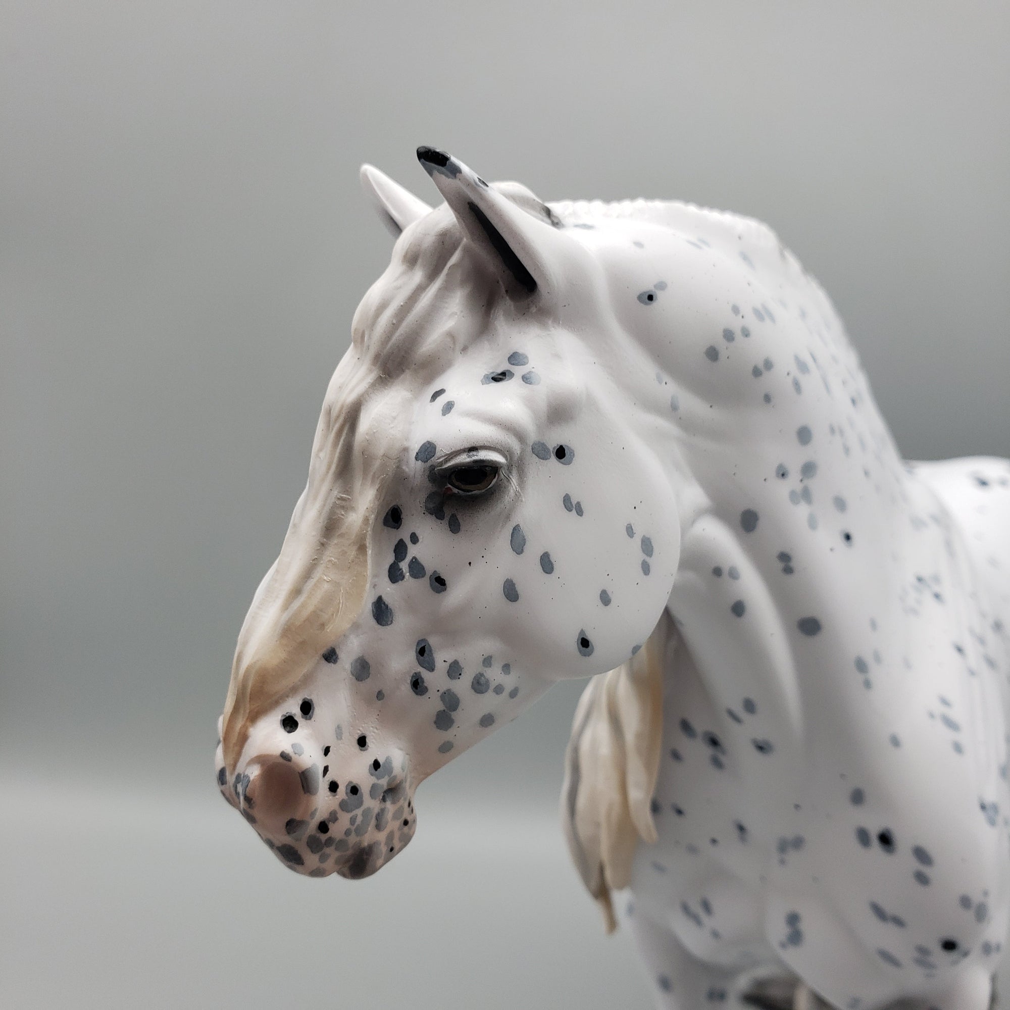 Salome OOAK Black Leopard Appaloosa  Heavy Draft By Ellen Robbins EQ23