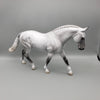 Albert OOAK Dapple Grey Irish Draft By Jess Hamill EQ23