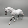 Albert OOAK Dapple Grey Irish Draft By Jess Hamill EQ23