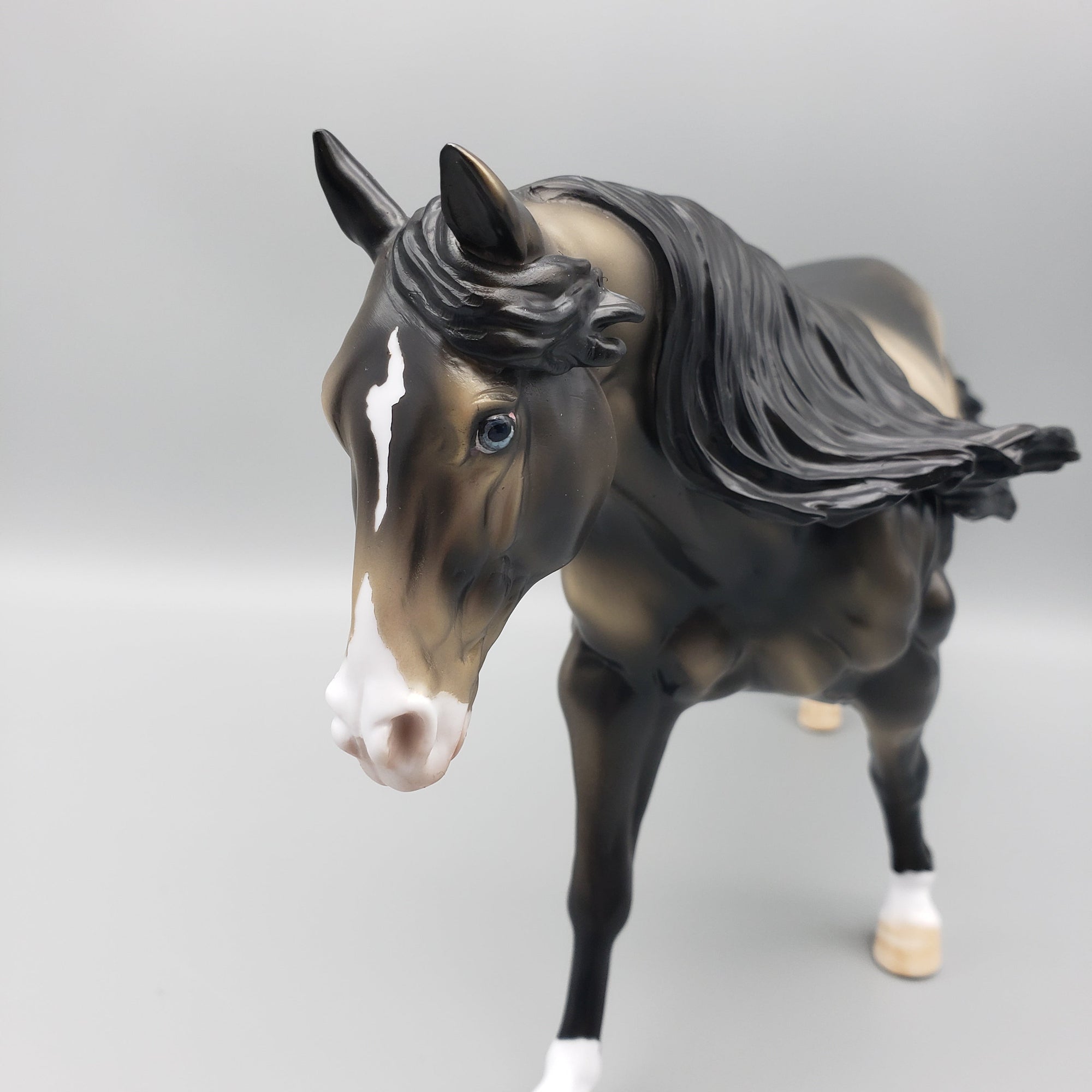 Dhruva OOAK Sooty Buckskin Remington By Dawn Quick EQ23