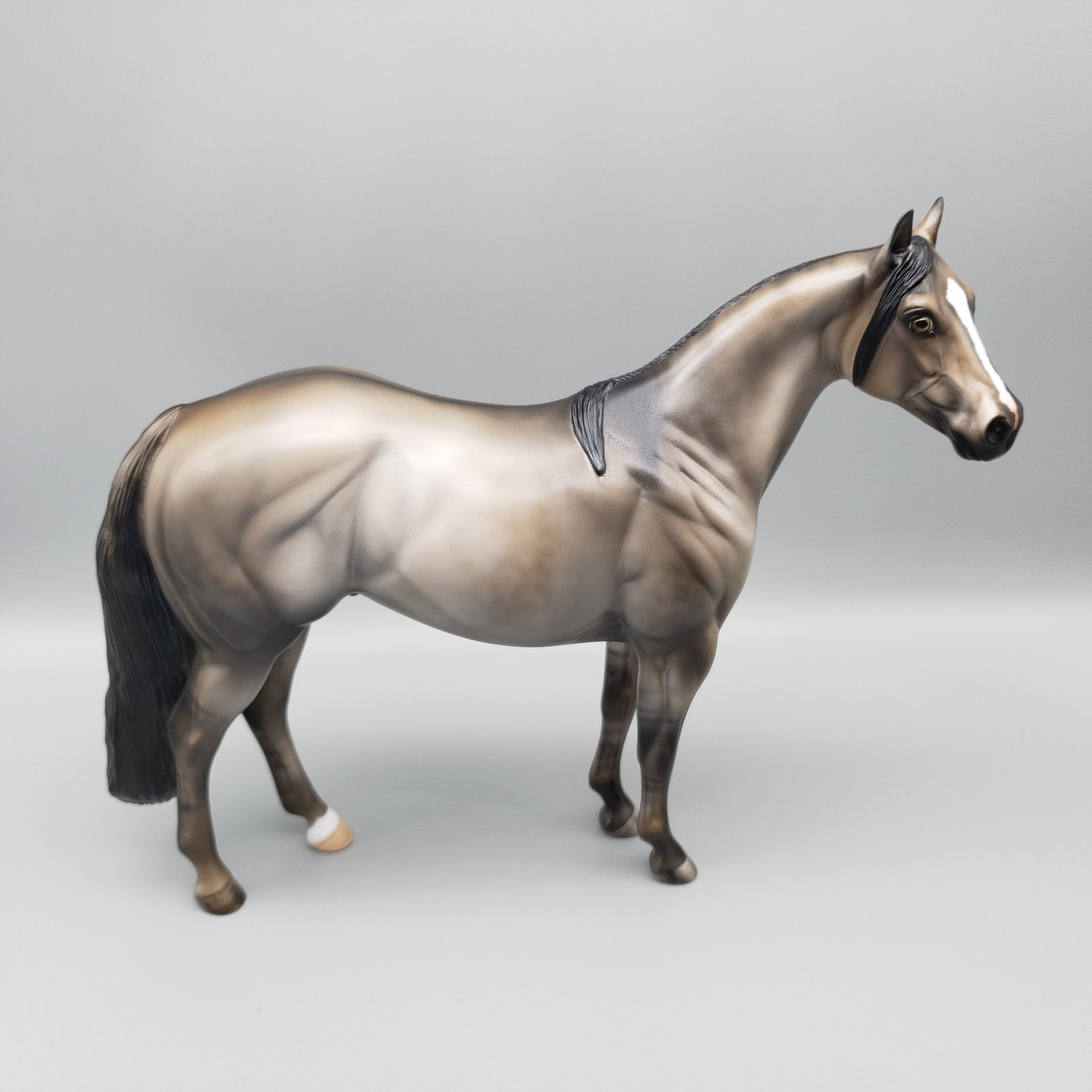 Raja OOAK Grulla ISH  By Julie Keim EQ23