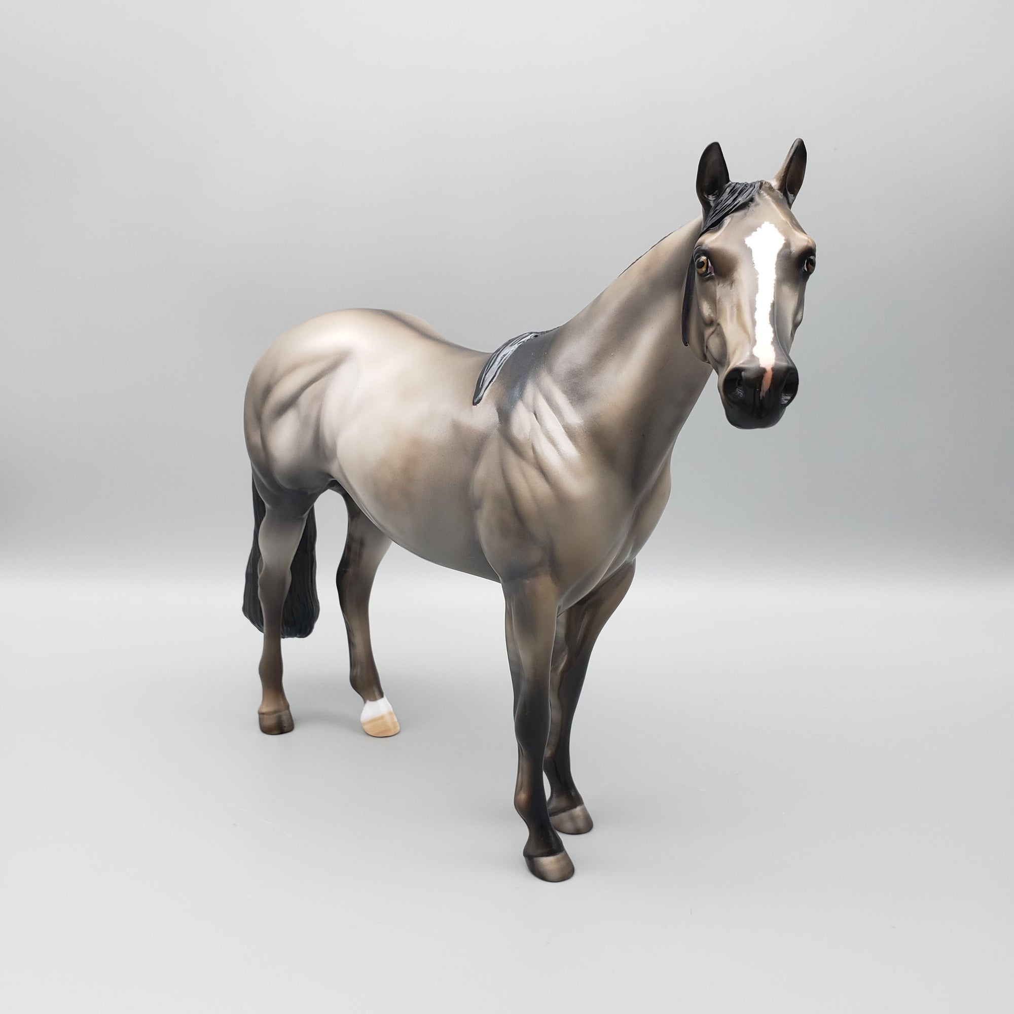 Raja OOAK Grulla ISH  By Julie Keim EQ23