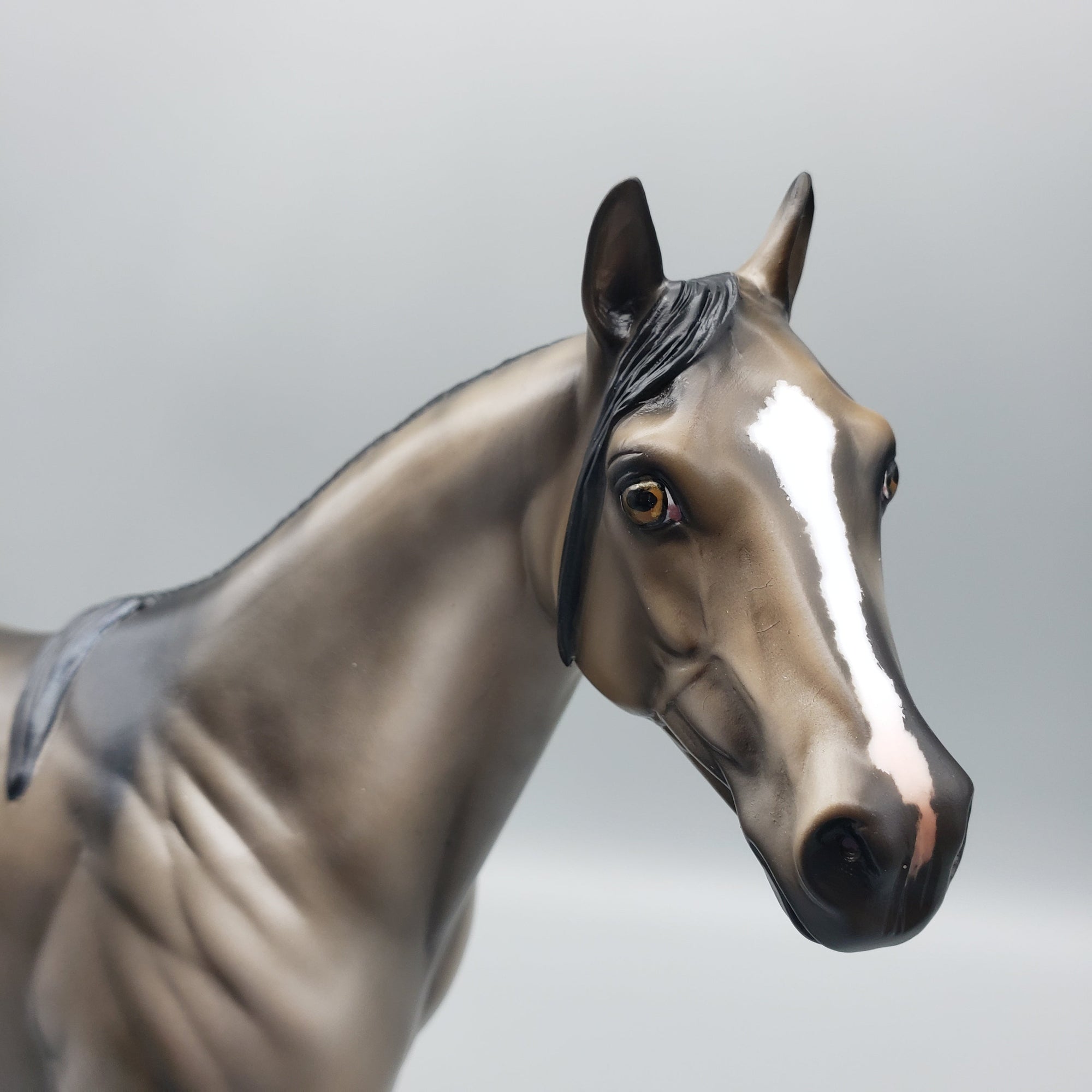 Raja OOAK Grulla ISH  By Julie Keim EQ23