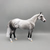 Tomy OOAK Dappled Grey ISH By Dawn Quick EQ23