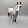 Tomy OOAK Dappled Grey ISH By Dawn Quick EQ23