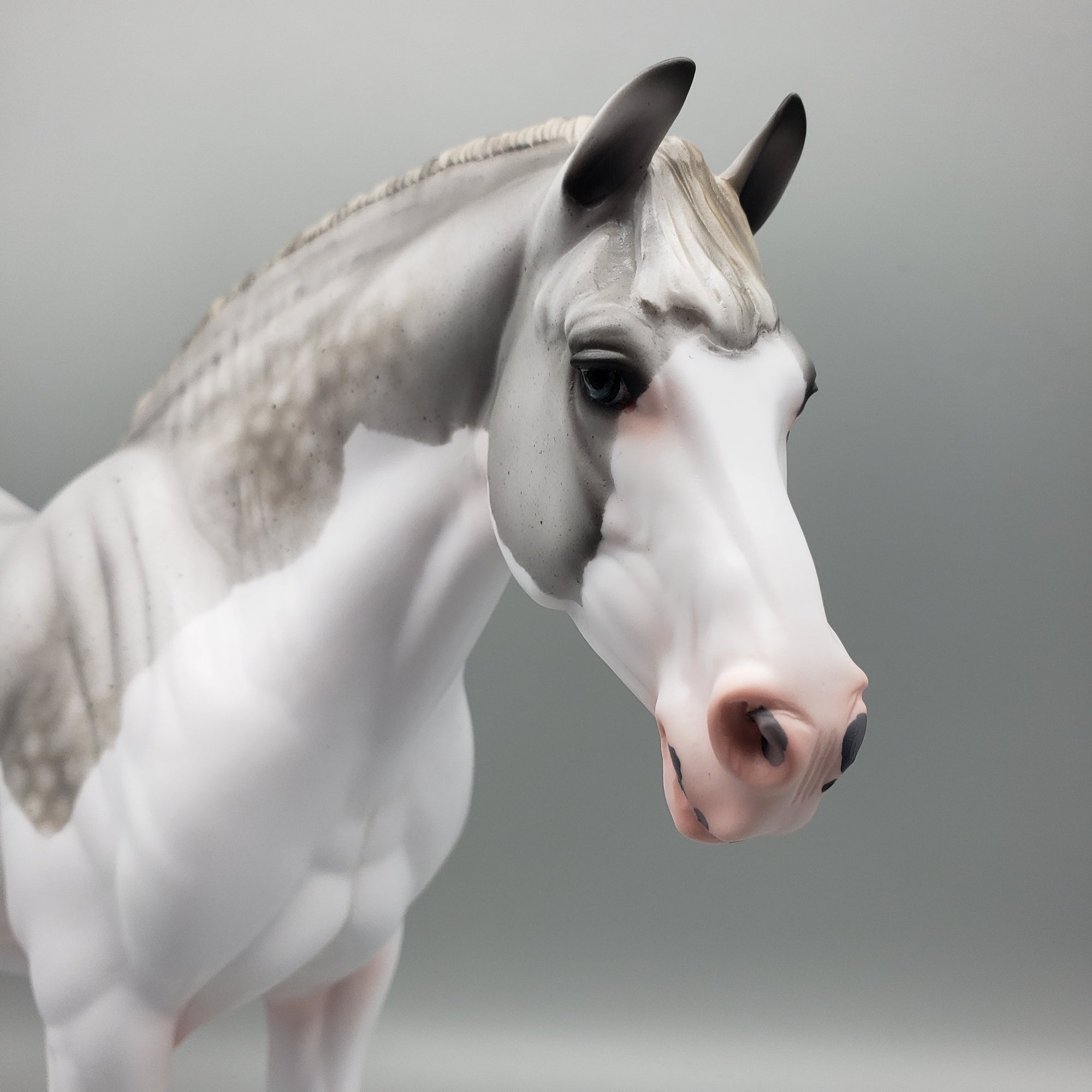 Sophie&#39;s Dream OOAK Dappled Fleabitten Grey Splash Heavy Draft By Ashley Palmer EQ23