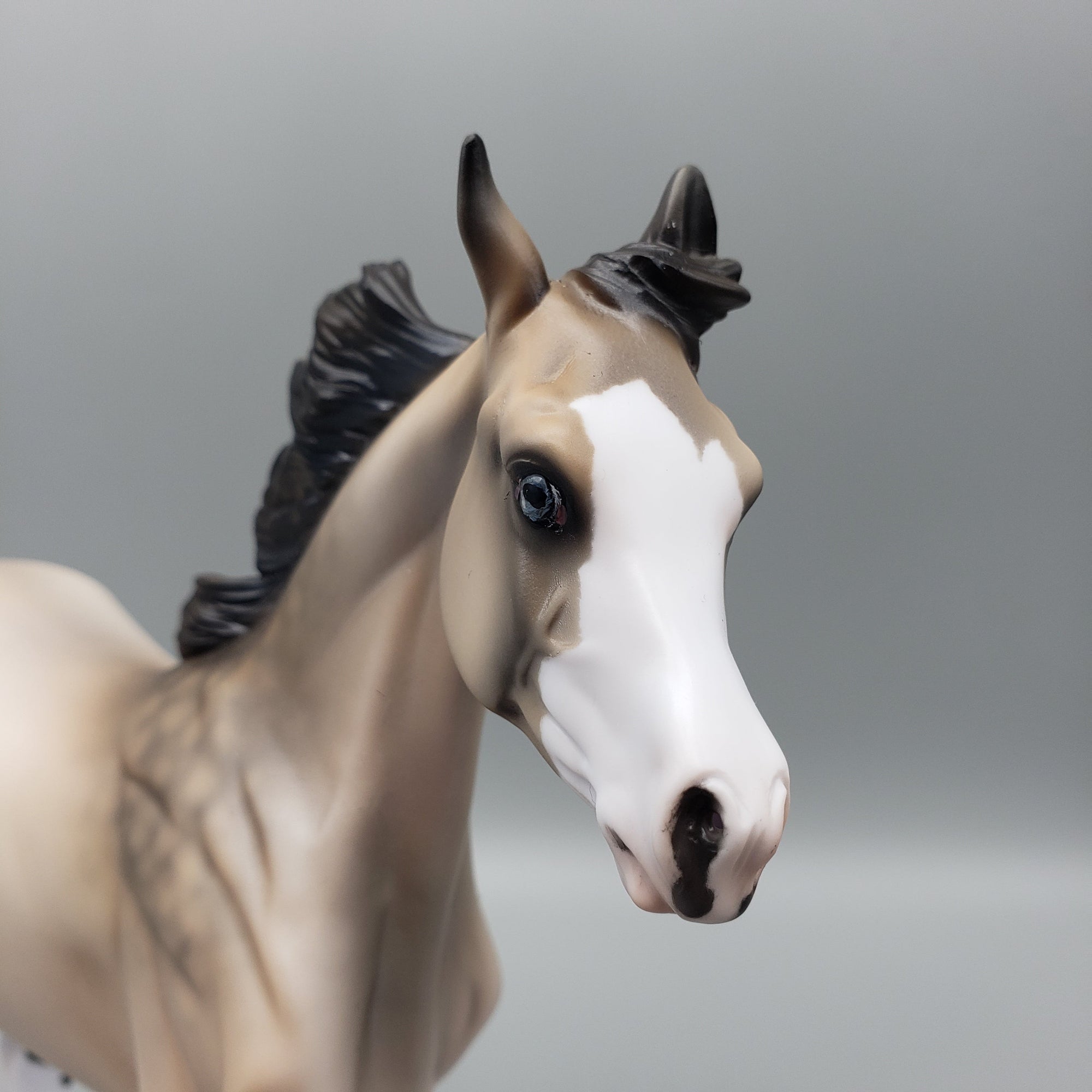 Giselle OOAK Buckskin Splash Yearling By Jess Hamill EQ23