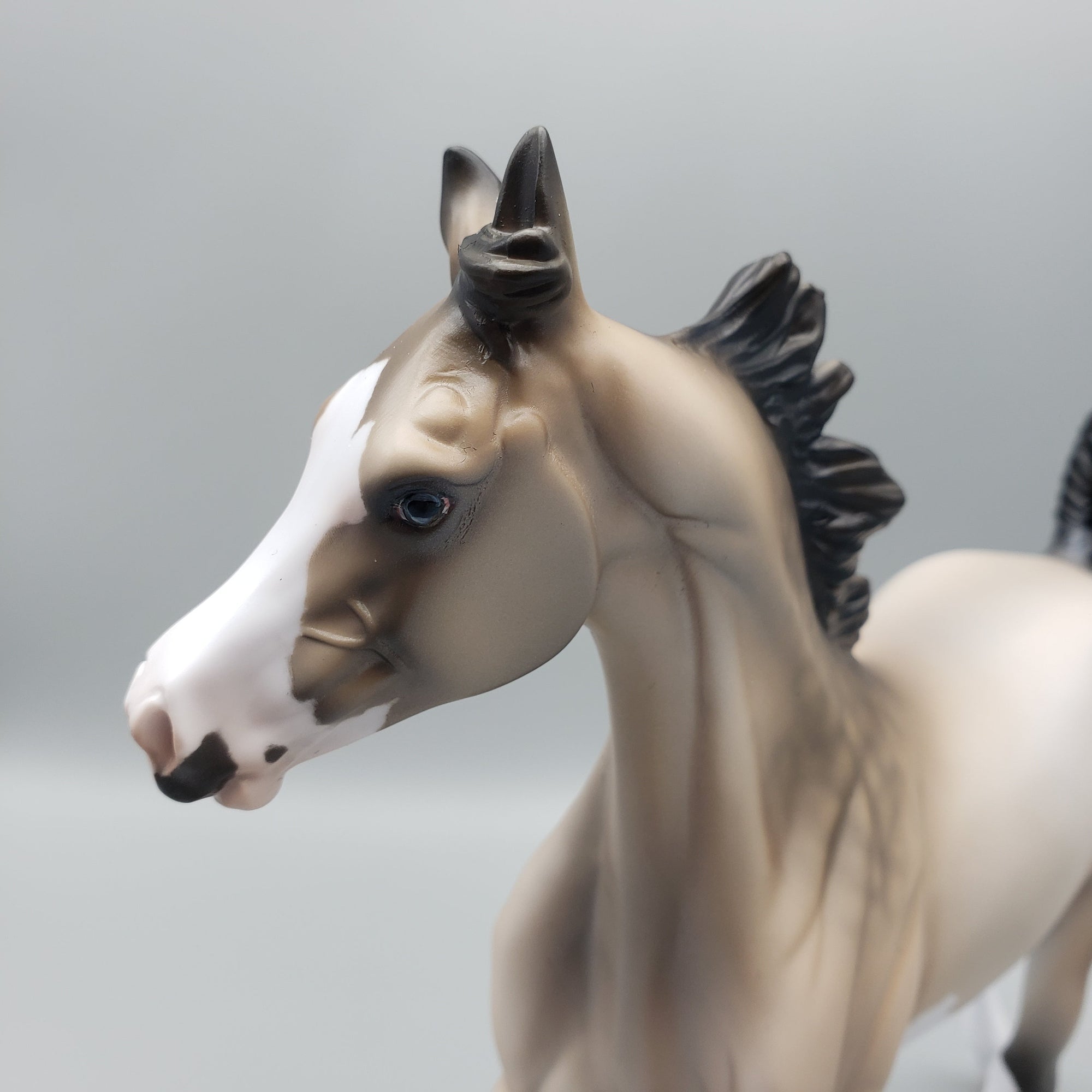 Giselle OOAK Buckskin Splash Yearling By Jess Hamill EQ23