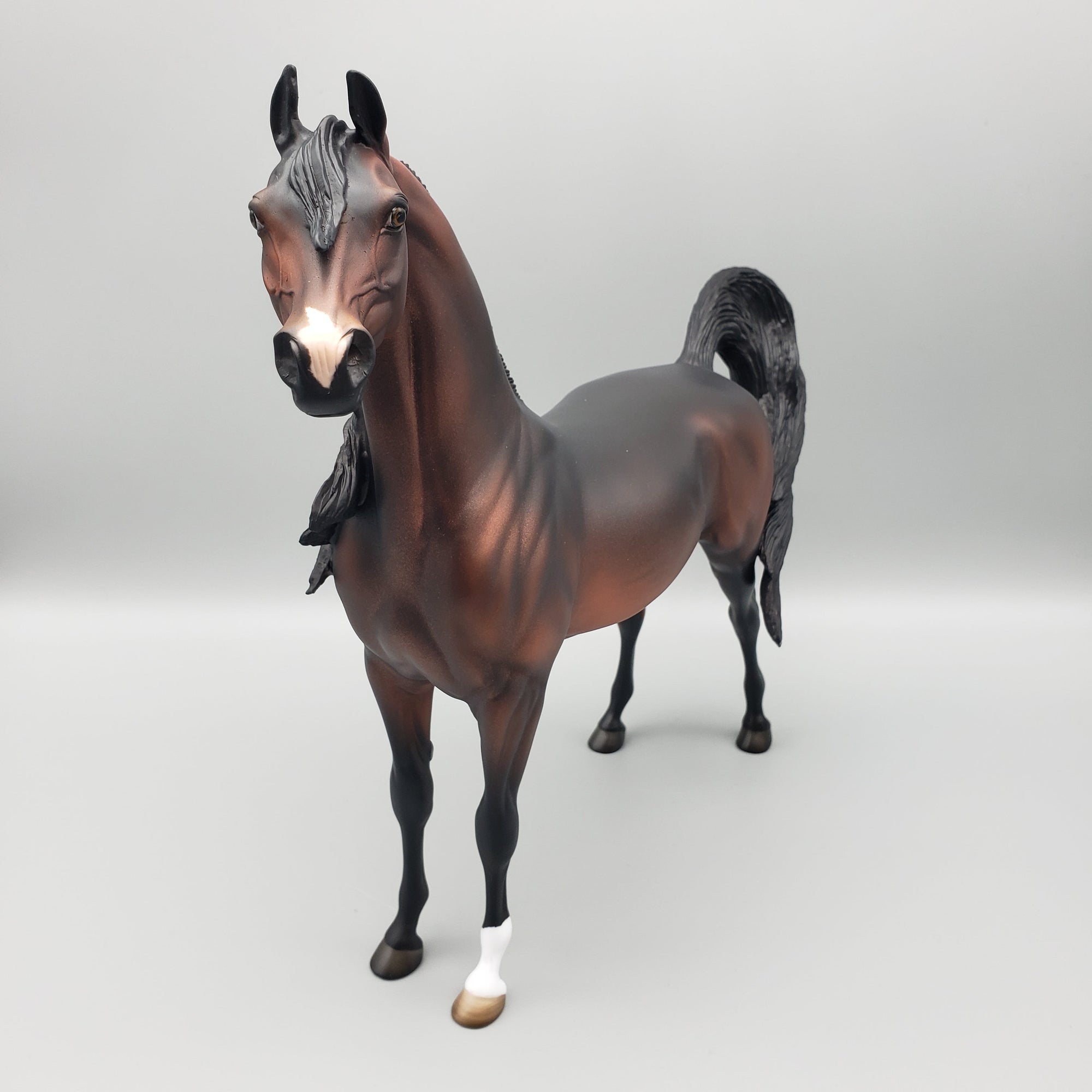 Jacques OOAK Dark Bay Arabian Stallion By Angela Marleau EQ23