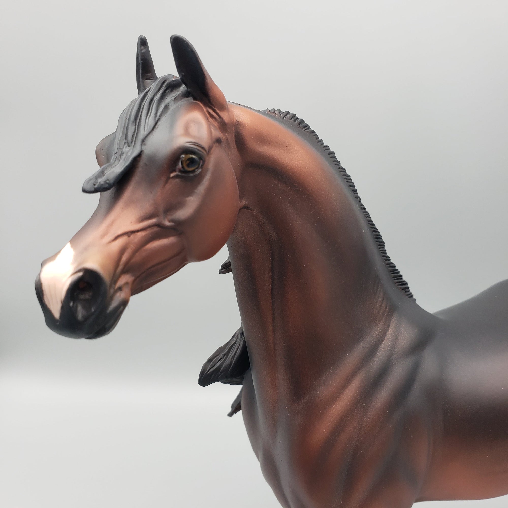 Jacques OOAK Dark Bay Arabian Stallion By Angela Marleau EQ23