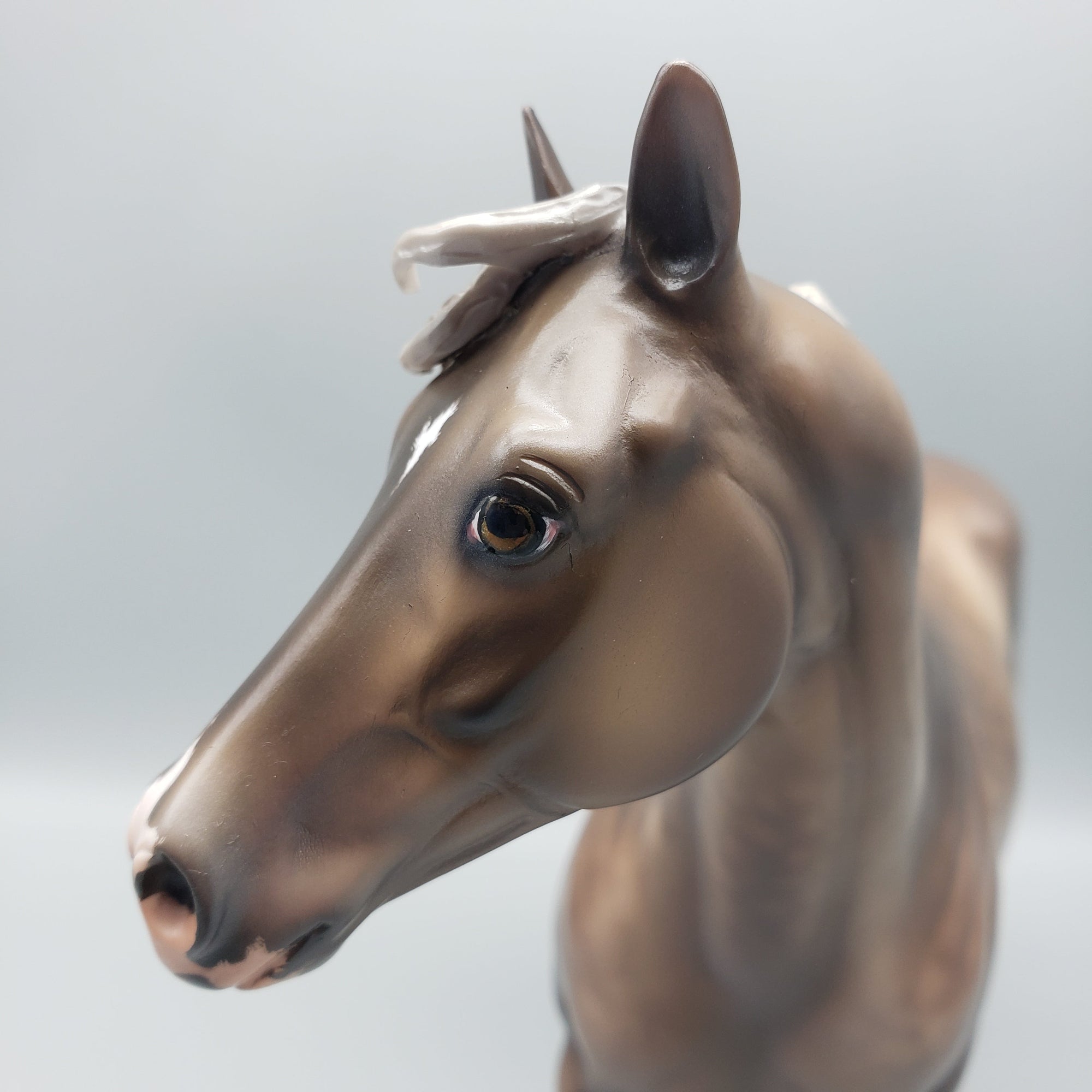 Keepsake OOAK Sooty Palomino Ideal Stock Horse By Jess Hamill Best Offers 7/4/23