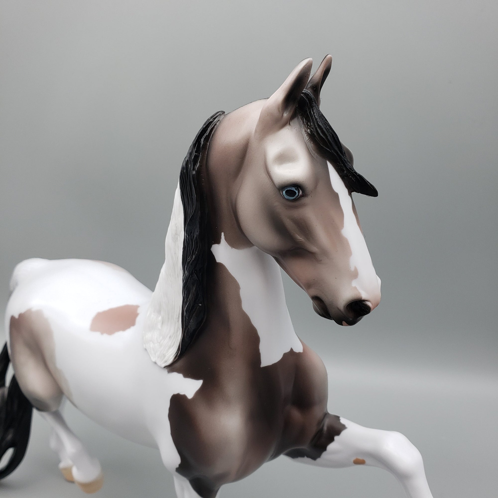 Lokni OOAK Rose Grey Dapple Tobiano Saddlebred By Dawn Quick EQ23