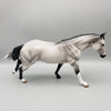 Pascal OOAK Dapple Grey Remington By Angela Marleau EQ23