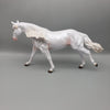 Wisp OOAK Cremello Remington By Ashley Palmer EQ23