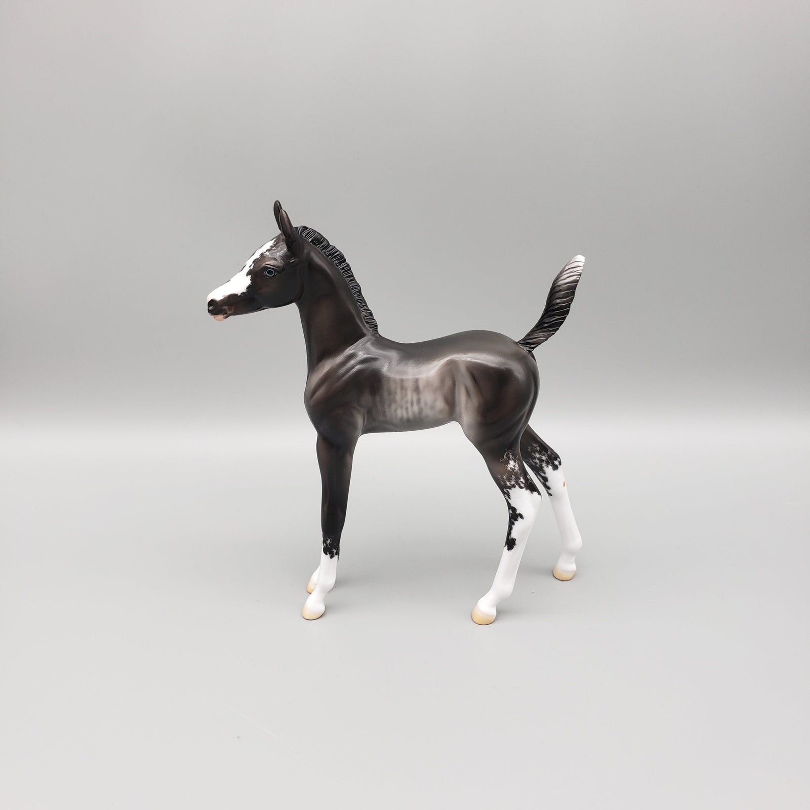 Sable OOAK Black Sabino Rabicano Arabian Foal Pebble By Jess Hamill EQ23