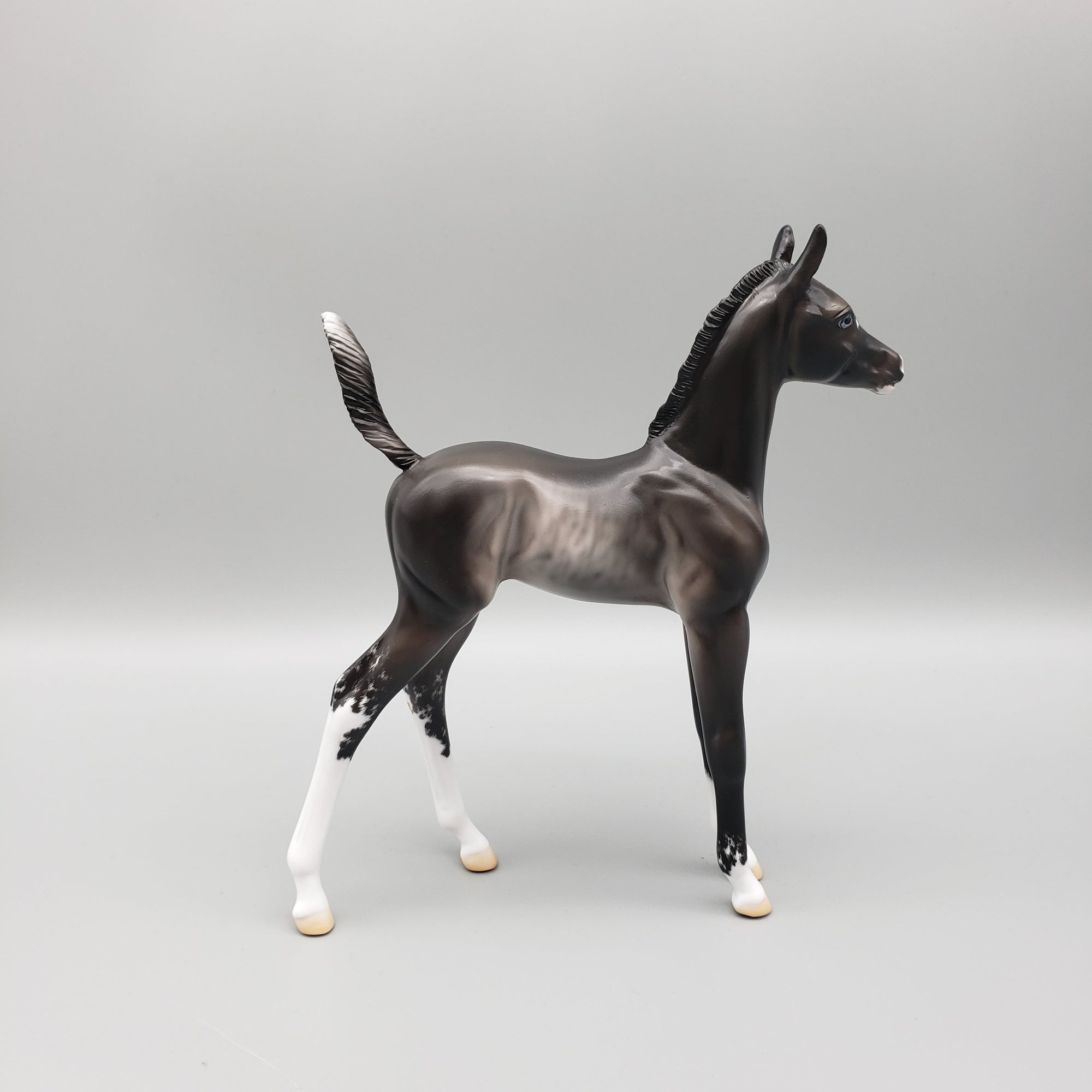 Sable OOAK Black Sabino Rabicano Arabian Foal Pebble By Jess Hamill EQ23