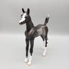Sable OOAK Black Sabino Rabicano Arabian Foal Pebble By Jess Hamill EQ23