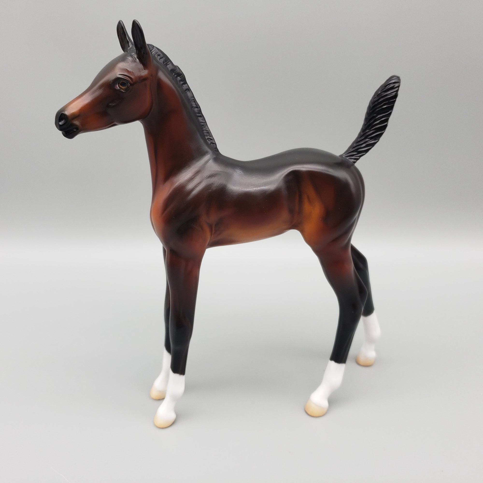 Norman OOAK Seal Bay Arabian Foal Pebble By Angela Marleau EQ23