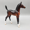 Norman OOAK Seal Bay Arabian Foal Pebble By Angela Marleau EQ23