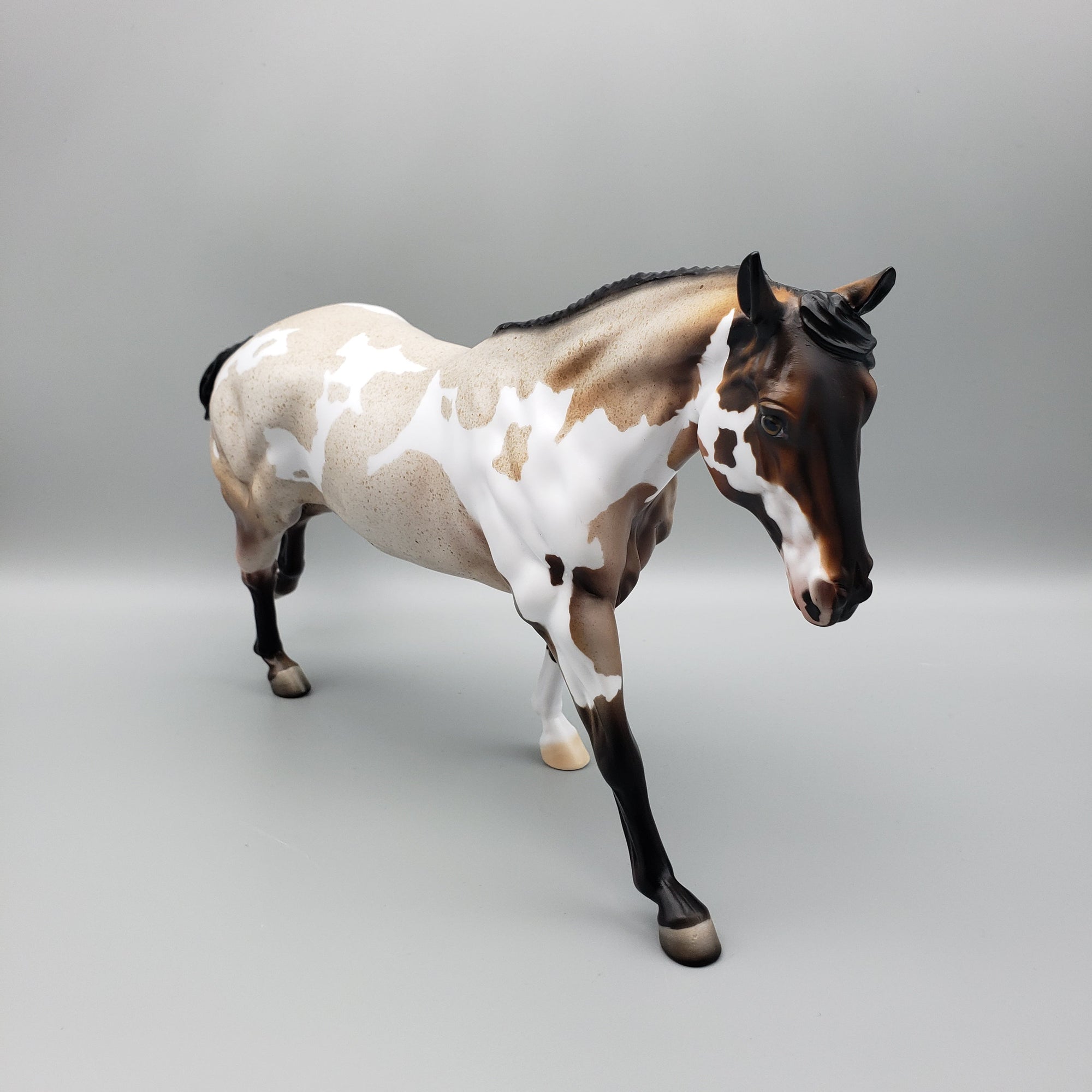 Kairos OOAK Bay Roan Overo Remington By Dawn Quick EQ23