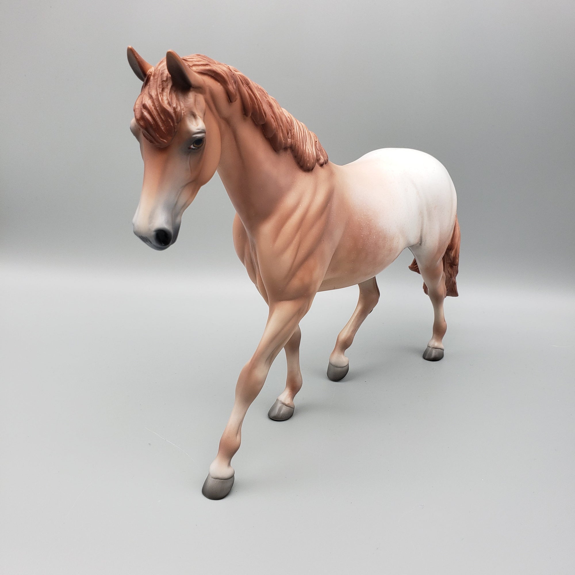 Whinny OOAK Chestnut Snowcap Appaloosa Pony By Jess Hamill EQ23