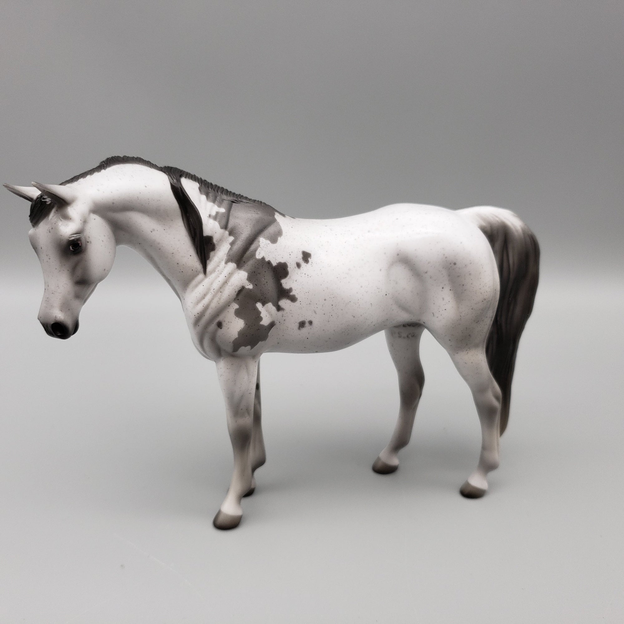 Kage OOAK Flea Bitten Grey Bloody Shoulder Arabian Pebble By Jess Hamill EQ23